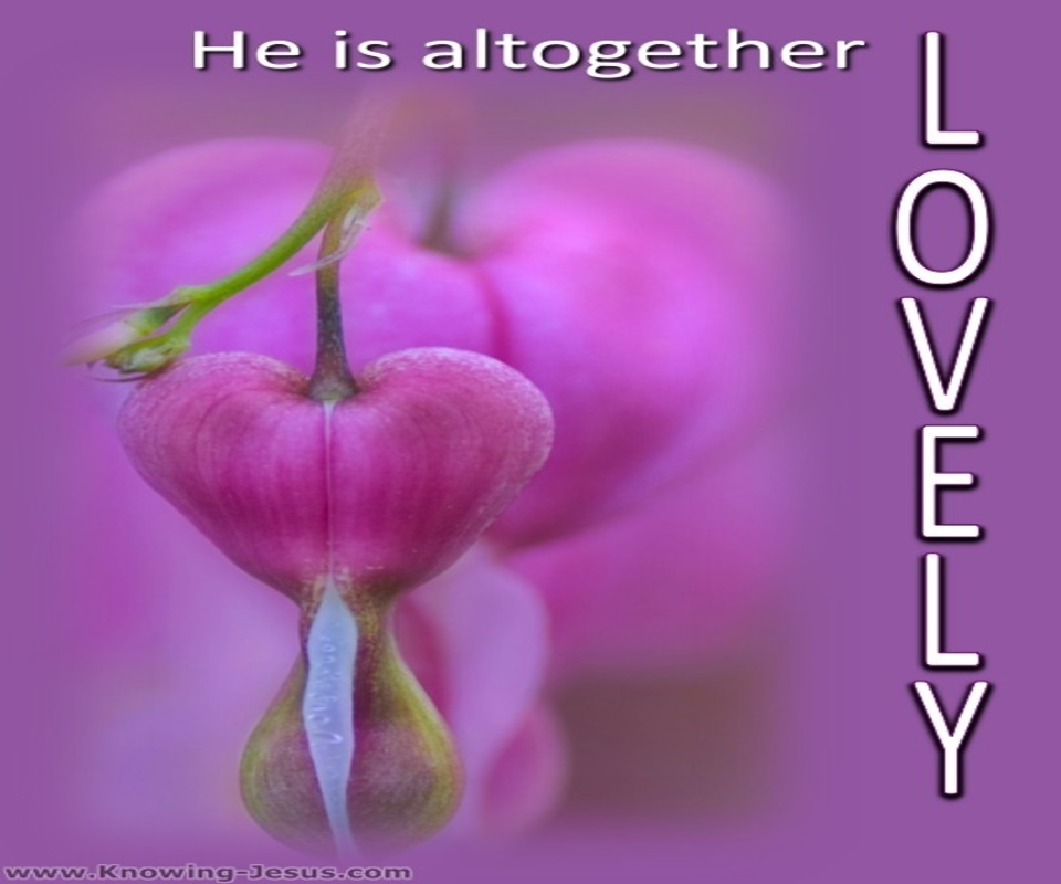  Song of Solomon 5:16 He Is Altogether Lovely (white)